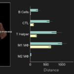 腫瘍微小環境における複数の細胞集団（B細胞、CTL、Tヘルパー、M1/M2マクロファージなど）の空間分布と、距離および密度の比較解析を示す可視化図