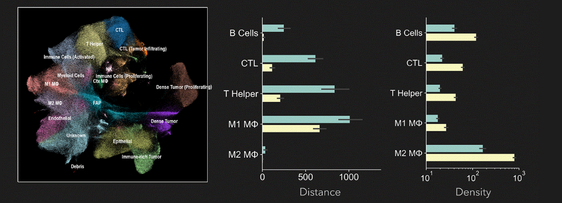 腫瘍微小環境における複数の細胞集団(B細胞、CTL、Tヘルパー、M1/M2マクロファージなど)の空間分布と、距離および密度の比較解析を示す可視化図