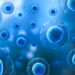 青色の細胞が多数浮遊している様子を表した3Dイメージ画像。顕微鏡観察をモデル化した細胞構造のレンダリング