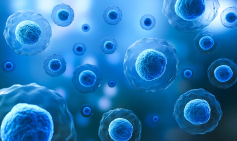 A 3D rendering of multiple blue cells floating in a microscopic environment, depicting detailed cellular structures.