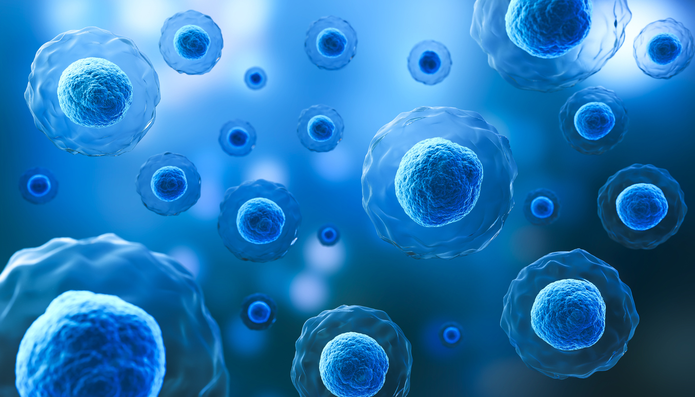 A 3D rendering of multiple blue cells floating in a microscopic environment, depicting detailed cellular structures.