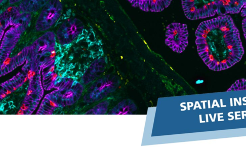 多色の免疫蛍光染色により可視化された組織構造の顕微鏡イメージと、「SPATIAL INSIGHTS LIVE SERIES」の文字を配置したウェビナー告知用ビジュアル。